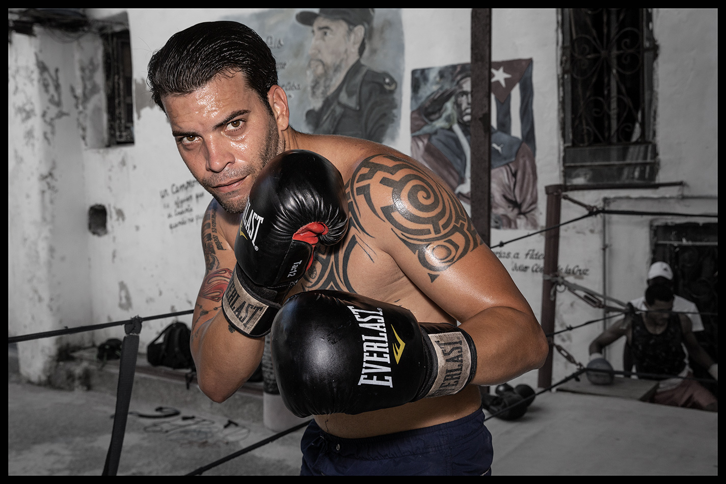 APF_Boxer