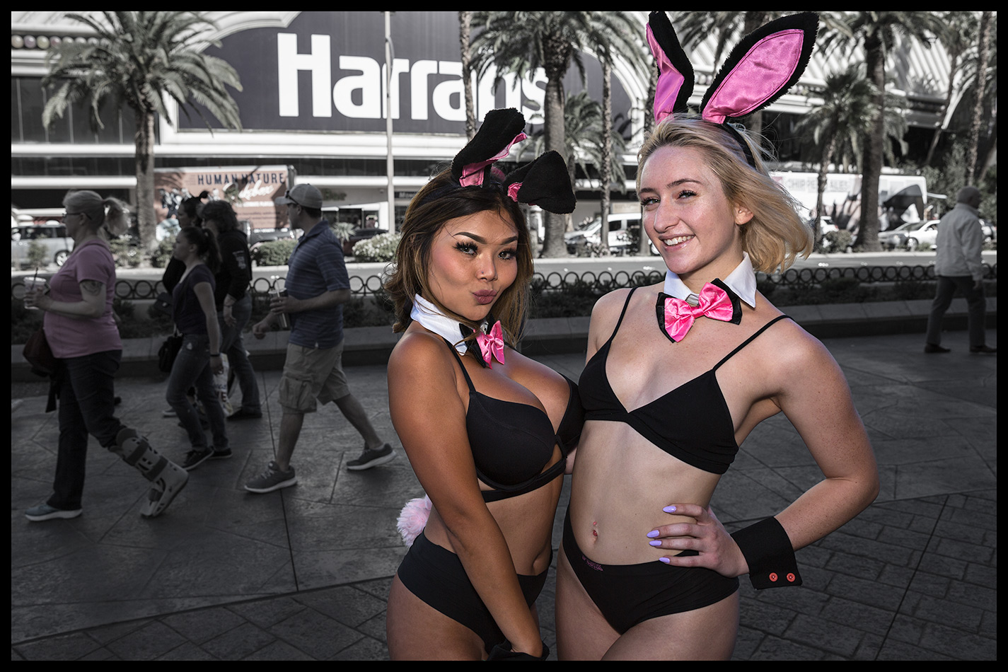 APF_VegasBunnies